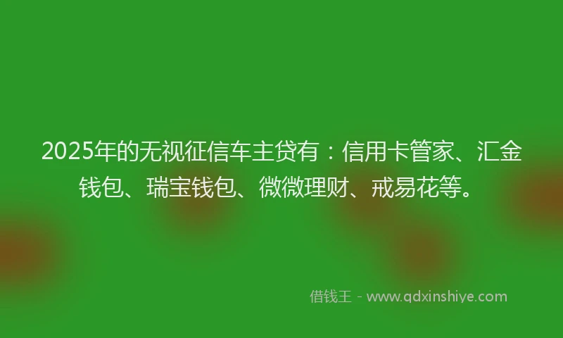 2025年的无视征信车主贷有：信用卡管家、汇金钱包、瑞宝钱包、微微理财、戒易花等。
