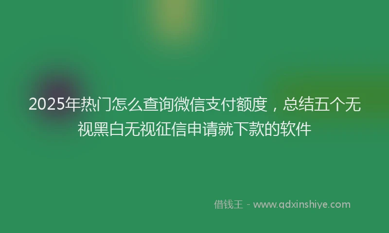 2025年热门怎么查询微信支付额度，总结五个无视黑白无视征信申请就下款的软件