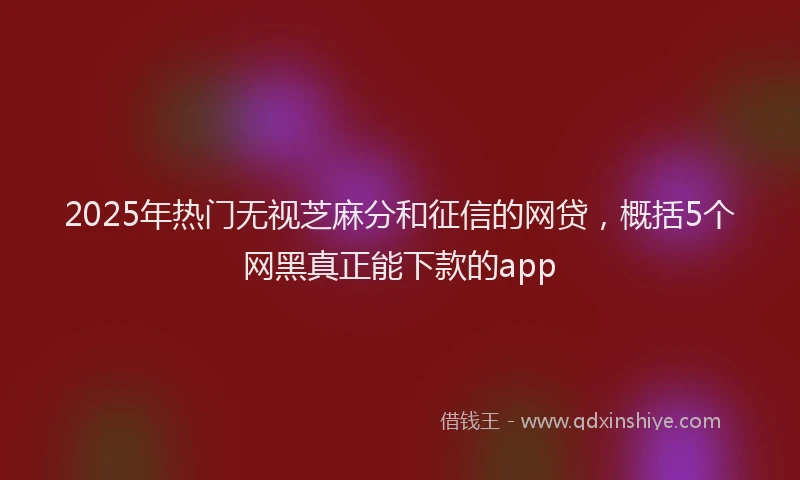 2025年热门无视芝麻分和征信的网贷，概括5个网黑真正能下款的app