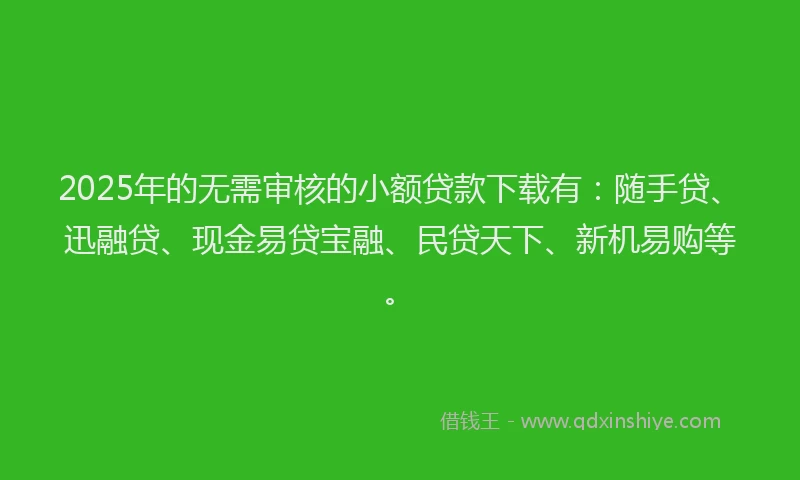 2025年的无需审核的小额贷款下载有：随手贷、迅融贷、现金易贷宝融、民贷天下、新机易购等。