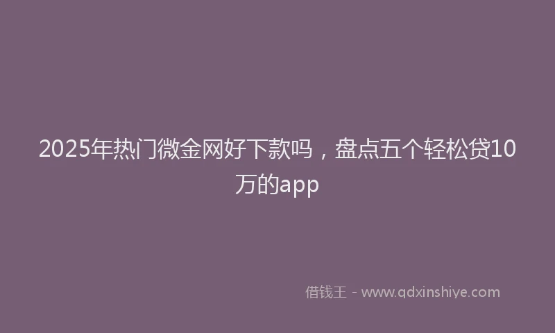 2025年热门微金网好下款吗，盘点五个轻松贷10万的app