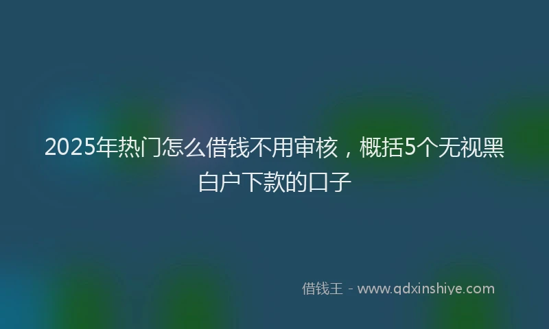 2025年热门怎么借钱不用审核，概括5个无视黑白户下款的口子