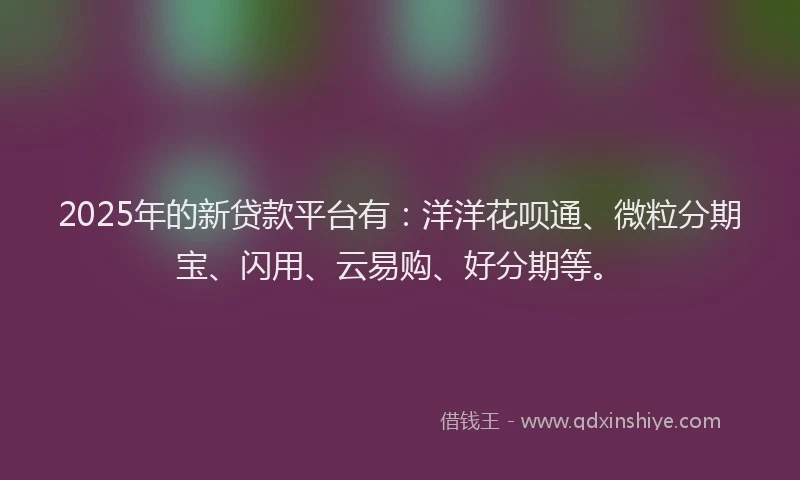2025年的新贷款平台有：洋洋花呗通、微粒分期宝、闪用、云易购、好分期等。
