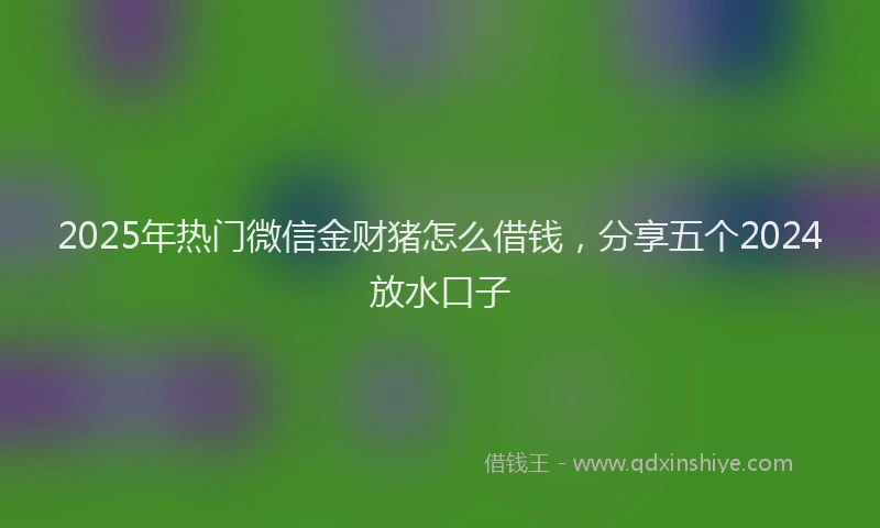 2025年热门微信金财猪怎么借钱，分享五个2024放水口子