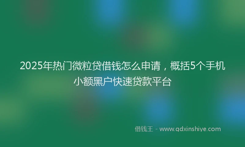 2025年热门微粒贷借钱怎么申请，概括5个手机小额黑户快速贷款平台