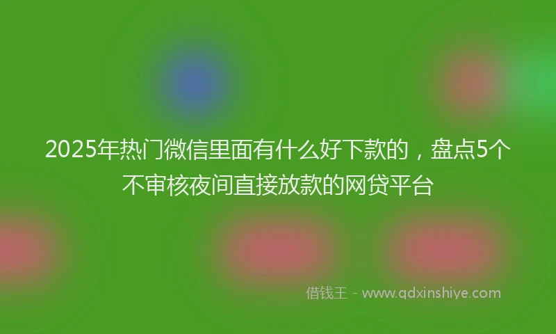 2025年热门微信里面有什么好下款的，盘点5个不审核夜间直接放款的网贷平台