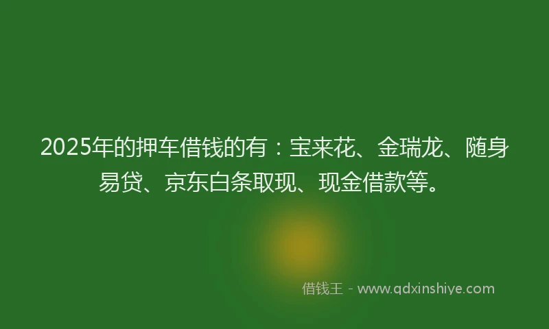 2025年的押车借钱的有：宝来花、金瑞龙、随身易贷、京东白条取现、现金借款等。