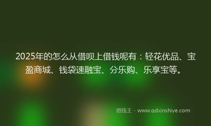 2025年的怎么从借呗上借钱呢有：轻花优品、宝盈商城、钱袋速融宝、分乐购、乐享宝等。