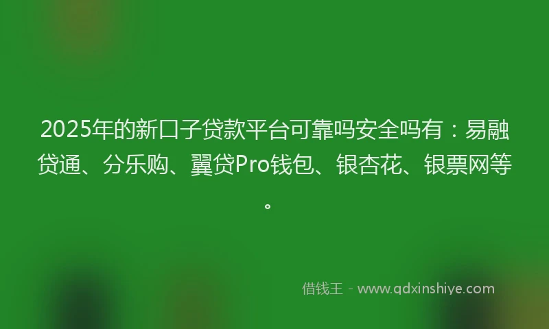 2025年的新口子贷款平台可靠吗安全吗有：易融贷通、分乐购、翼贷Pro钱包、银杏花、银票网等。