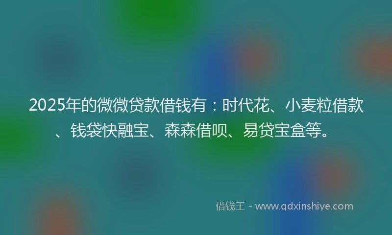 2025年的微微贷款借钱有：时代花、小麦粒借款、钱袋快融宝、森森借呗、易贷宝盒等。