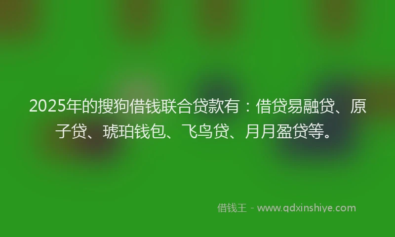 2025年的搜狗借钱联合贷款有：借贷易融贷、原子贷、琥珀钱包、飞鸟贷、月月盈贷等。