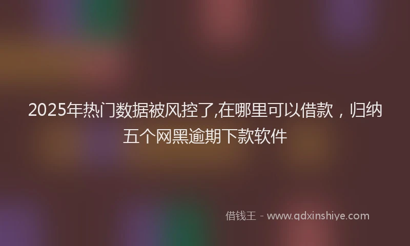 2025年热门数据被风控了,在哪里可以借款，归纳五个网黑逾期下款软件
