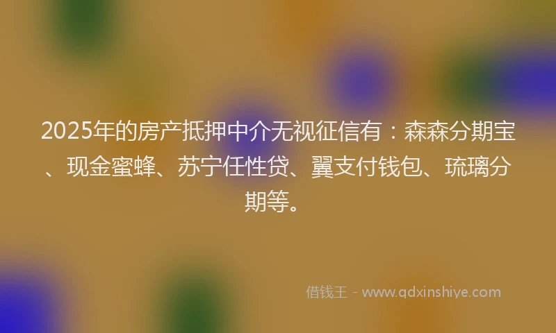 2025年的房产抵押中介无视征信有：森森分期宝、现金蜜蜂、苏宁任性贷、翼支付钱包、琉璃分期等。