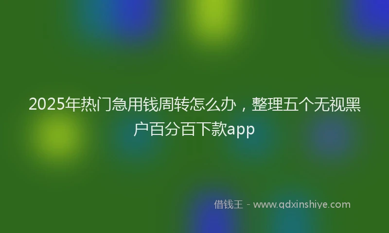 2025年热门急用钱周转怎么办，整理五个无视黑户百分百下款app