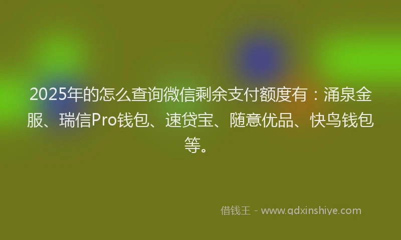 2025年的怎么查询微信剩余支付额度有：涌泉金服、瑞信Pro钱包、速贷宝、随意优品、快鸟钱包等。