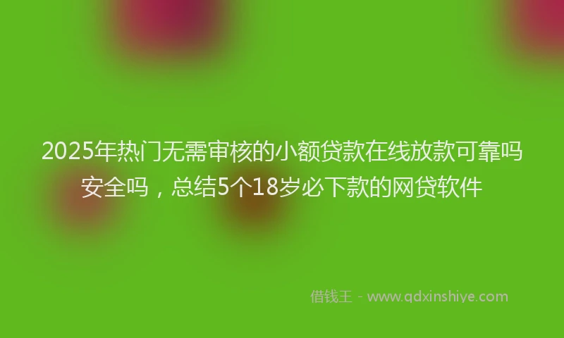 2025年热门无需审核的小额贷款在线放款可靠吗安全吗，总结5个18岁必下款的网贷软件