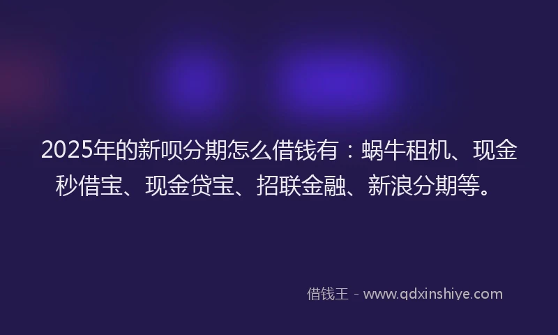 2025年的新呗分期怎么借钱有：蜗牛租机、现金秒借宝、现金贷宝、招联金融、新浪分期等。