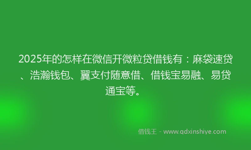 2025年的怎样在微信开微粒贷借钱有：麻袋速贷、浩瀚钱包、翼支付随意借、借钱宝易融、易贷通宝等。