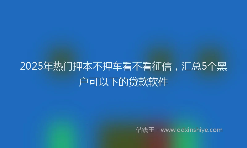 2025年热门押本不押车看不看征信，汇总5个黑户可以下的贷款软件