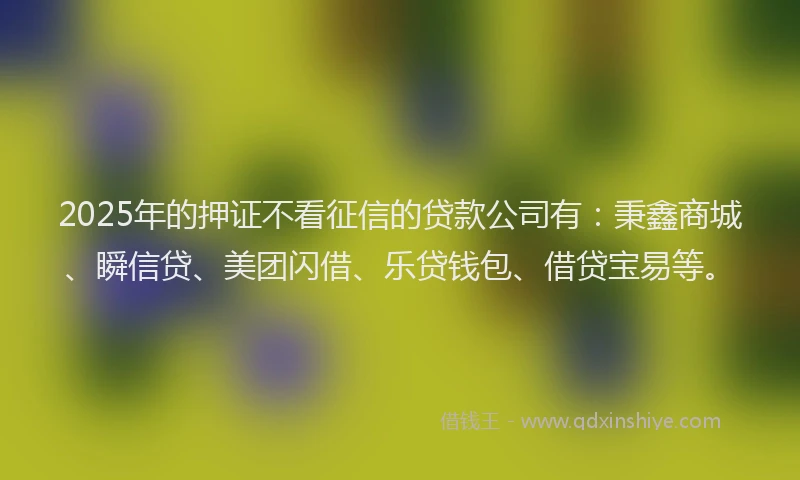 2025年的押证不看征信的贷款公司有：秉鑫商城、瞬信贷、美团闪借、乐贷钱包、借贷宝易等。