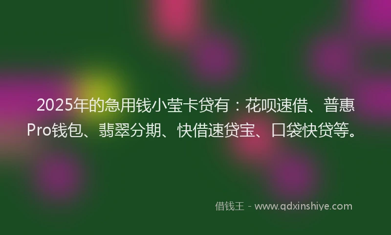 2025年的急用钱小莹卡贷有：花呗速借、普惠Pro钱包、翡翠分期、快借速贷宝、口袋快贷等。