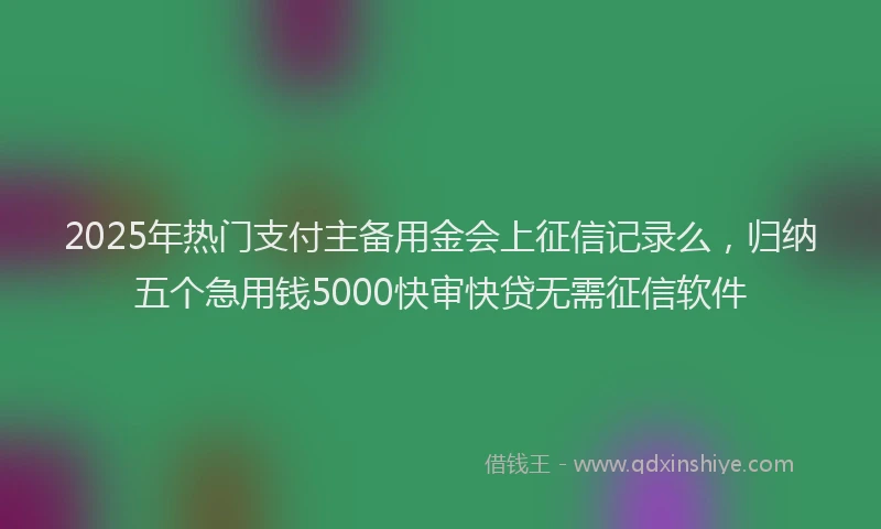 2025年热门支付主备用金会上征信记录么，归纳五个急用钱5000快审快贷无需征信软件