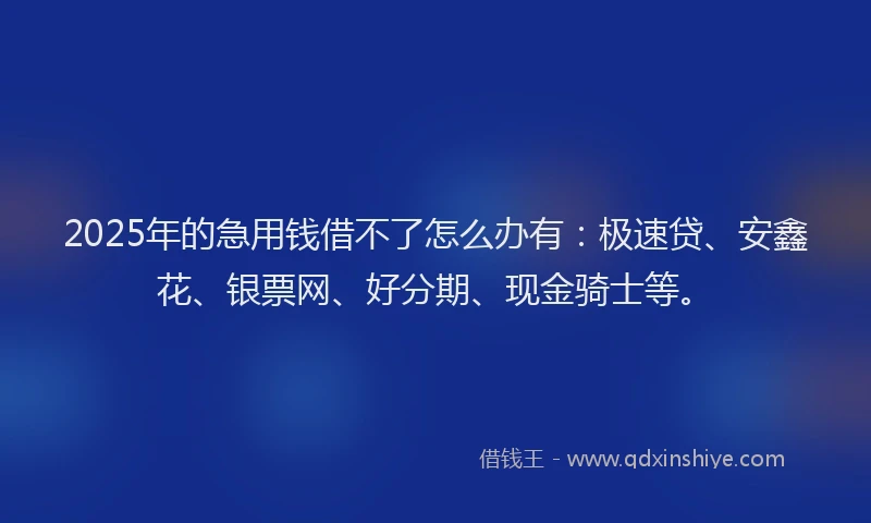 2025年的急用钱借不了怎么办有：极速贷、安鑫花、银票网、好分期、现金骑士等。