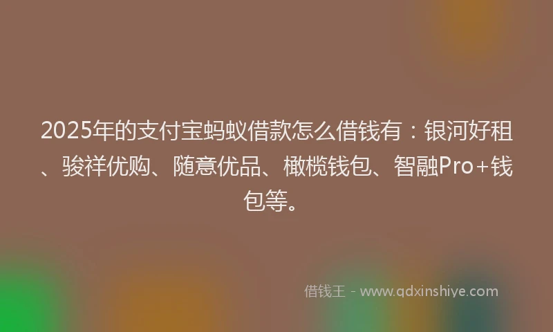 2025年的支付宝蚂蚁借款怎么借钱有：银河好租、骏祥优购、随意优品、橄榄钱包、智融Pro+钱包等。