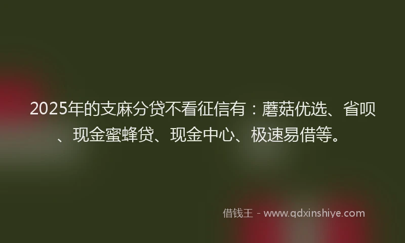 2025年的支麻分贷不看征信有：蘑菇优选、省呗、现金蜜蜂贷、现金中心、极速易借等。