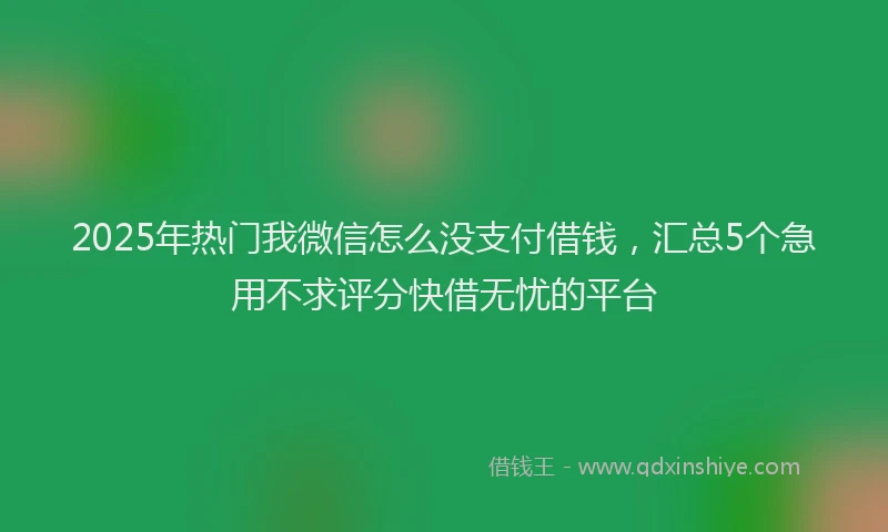 2025年热门我微信怎么没支付借钱，汇总5个急用不求评分快借无忧的平台