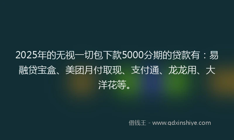 2025年的无视一切包下款5000分期的贷款有：易融贷宝盒、美团月付取现、支付通、龙龙用、大洋花等。