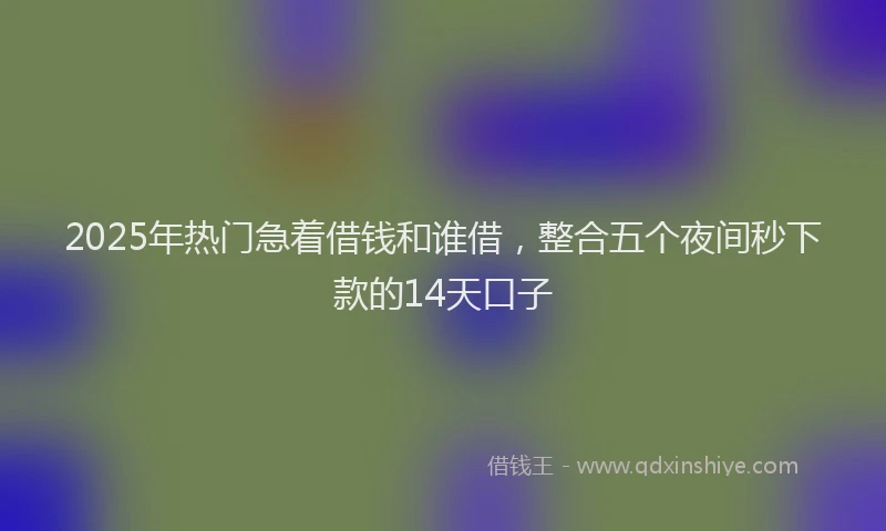 2025年热门急着借钱和谁借，整合五个夜间秒下款的14天口子