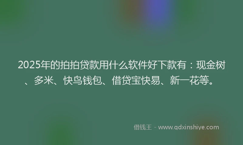 2025年的拍拍贷款用什么软件好下款有：现金树、多米、快鸟钱包、借贷宝快易、新一花等。