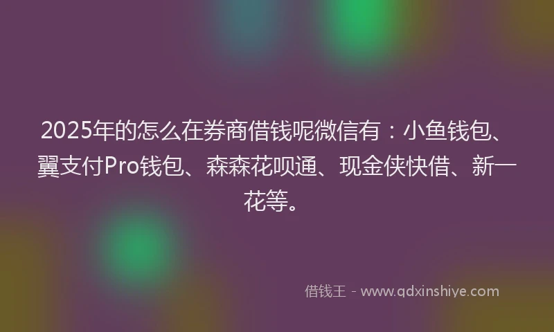 2025年的怎么在券商借钱呢微信有：小鱼钱包、翼支付Pro钱包、森森花呗通、现金侠快借、新一花等。