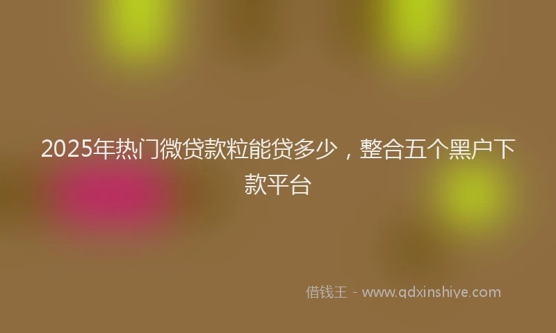 2025年热门微贷款粒能贷多少，整合五个黑户下款平台