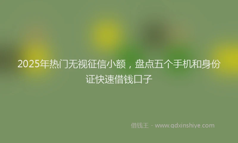 2025年热门无视征信小额，盘点五个手机和身份证快速借钱口子