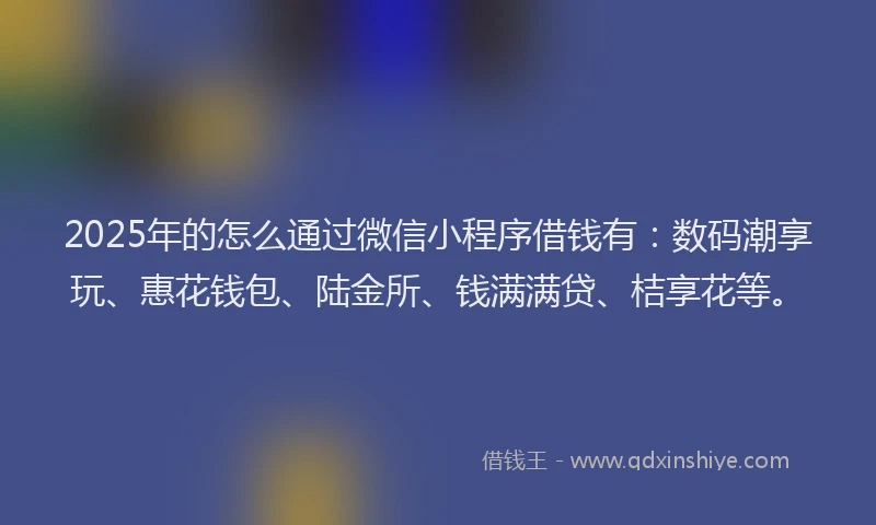 2025年的怎么通过微信小程序借钱有：数码潮享玩、惠花钱包、陆金所、钱满满贷、桔享花等。