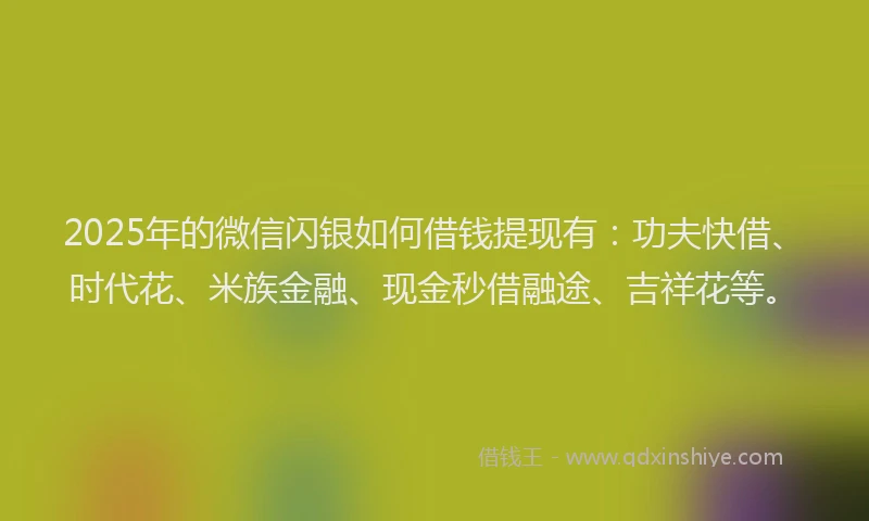 2025年的微信闪银如何借钱提现有：功夫快借、时代花、米族金融、现金秒借融途、吉祥花等。
