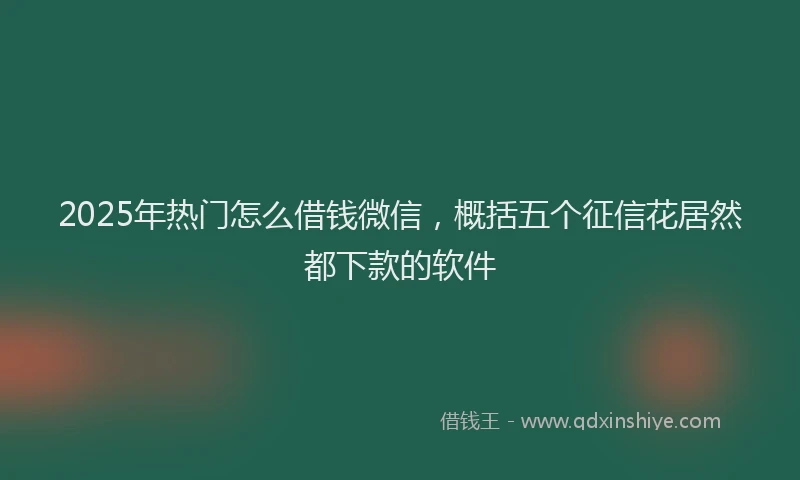 2025年热门怎么借钱微信，概括五个征信花居然都下款的软件