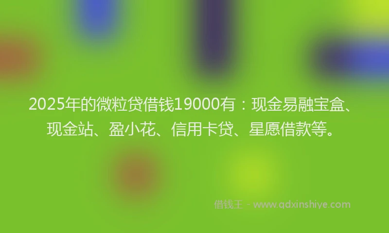 2025年的微粒贷借钱19000有：现金易融宝盒、现金站、盈小花、信用卡贷、星愿借款等。