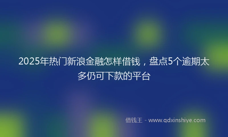 2025年热门新浪金融怎样借钱，盘点5个逾期太多仍可下款的平台