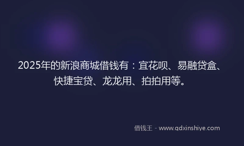 2025年的新浪商城借钱有：宜花呗、易融贷盒、快捷宝贷、龙龙用、拍拍用等。