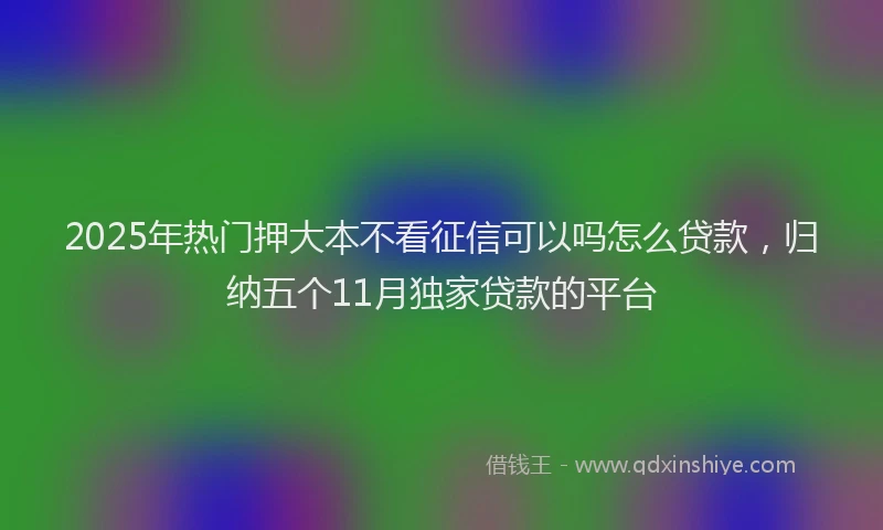 2025年热门押大本不看征信可以吗怎么贷款，归纳五个11月独家贷款的平台