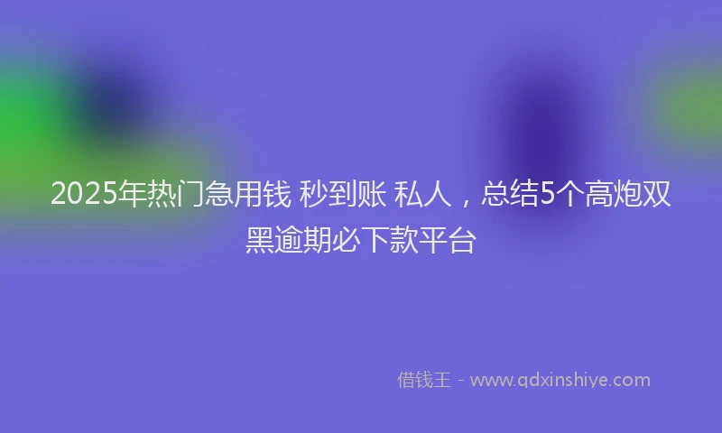 2025年热门急用钱 秒到账 私人，总结5个高炮双黑逾期必下款平台