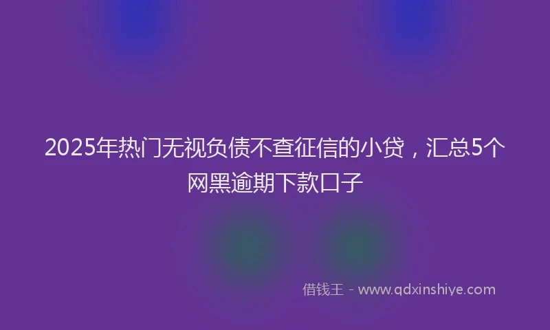 2025年热门无视负债不查征信的小贷，汇总5个网黑逾期下款口子