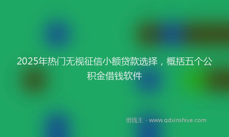2025年热门无视征信小额贷款选择，概括五个公积金借钱软件