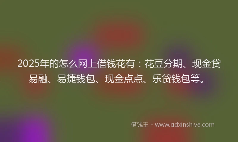 2025年的怎么网上借钱花有：花豆分期、现金贷易融、易捷钱包、现金点点、乐贷钱包等。