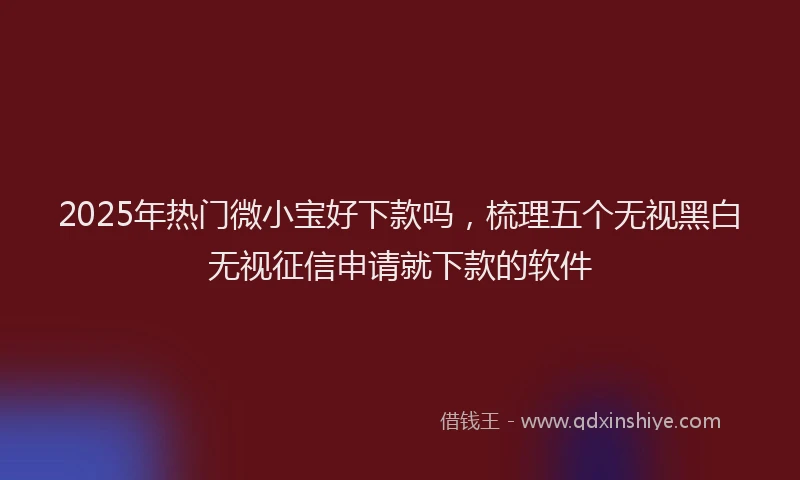 2025年热门微小宝好下款吗，梳理五个无视黑白无视征信申请就下款的软件