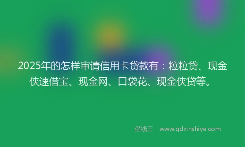 2025年的怎样审请信用卡贷款有：粒粒贷、现金侠速借宝、现金网、口袋花、现金侠贷等。