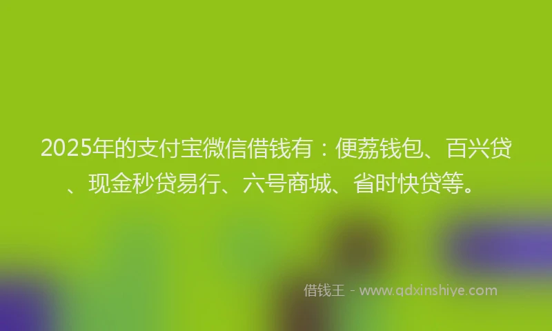 2025年的支付宝微信借钱有：便荔钱包、百兴贷、现金秒贷易行、六号商城、省时快贷等。